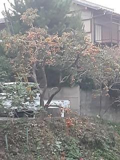 摜(240x320)Eg摜(480x640)