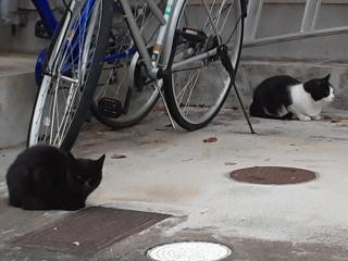 摜(320x240)Eg摜(640x480)