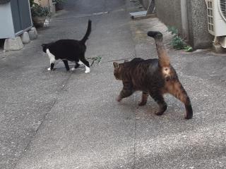 画像(320x240)・拡大画像(640x480)