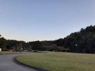 画像(320x240)・拡大画像(640x480)