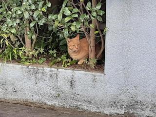 画像(320x240)・拡大画像(640x480)