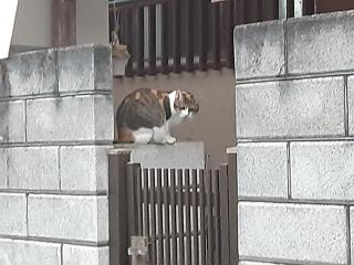 摜(320x240)Eg摜(640x480)