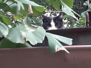 画像(320x240)・拡大画像(640x480)