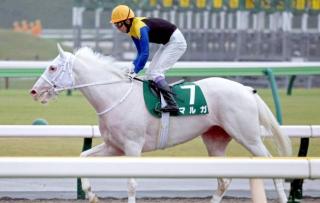 画像(320x203)・拡大画像(640x406)