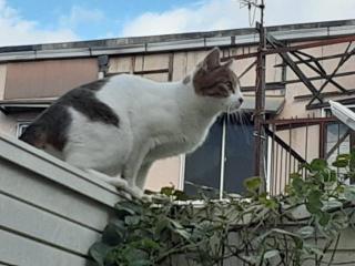 画像(320x240)・拡大画像(640x480)