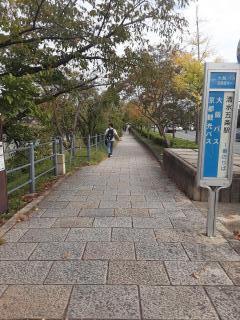 画像(240x320)・拡大画像(480x640)