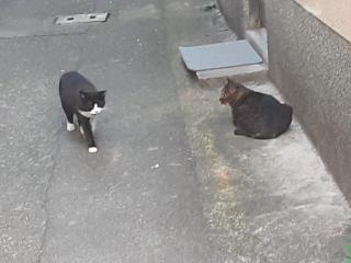 画像(320x240)・拡大画像(640x480)