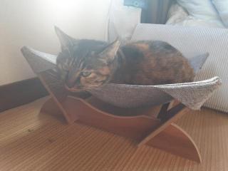 画像(320x240)・拡大画像(640x480)