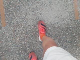 画像(320x240)・拡大画像(640x480)