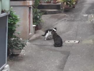 摜(320x240)Eg摜(640x480)