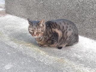 摜(320x240)Eg摜(640x480)