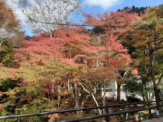 摜(320x240)Eg摜(640x480)