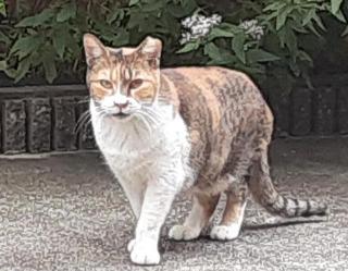 摜(320x249)Eg摜(640x498)