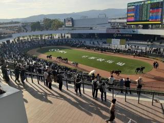 摜(320x240)Eg摜(640x480)