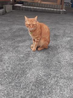 摜(240x320)Eg摜(480x640)