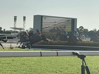 摜(320x240)Eg摜(640x480)