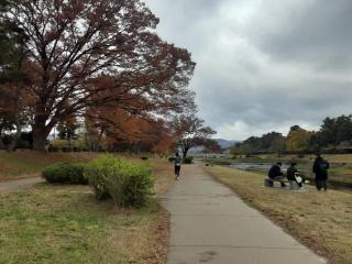 摜(320x240)Eg摜(640x480)