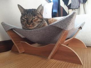 摜(320x240)Eg摜(640x480)