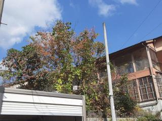 摜(320x240)Eg摜(640x480)