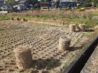 摜(320x240)Eg摜(640x480)