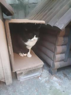 摜(240x320)Eg摜(480x640)