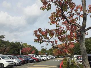 摜(320x240)Eg摜(640x480)