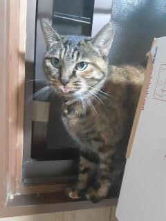 摜(240x320)Eg摜(480x640)