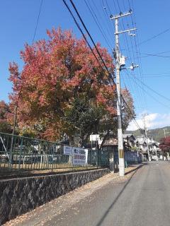 画像(240x320)・拡大画像(480x640)