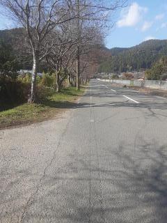 画像(240x320)・拡大画像(480x640)