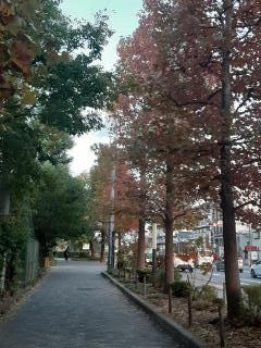 画像(240x320)・拡大画像(480x640)