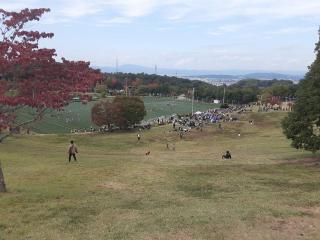 摜(320x240)Eg摜(640x480)