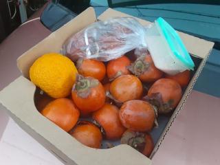 摜(320x240)Eg摜(640x480)