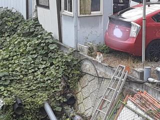 摜(320x240)Eg摜(640x480)