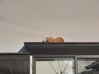 画像(320x240)・拡大画像(640x480)