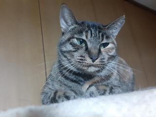 画像(320x240)・拡大画像(640x480)