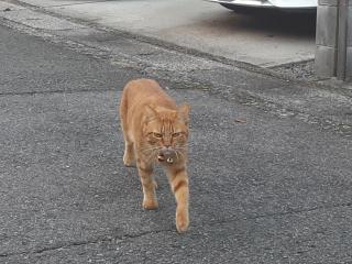 摜(320x240)Eg摜(640x480)