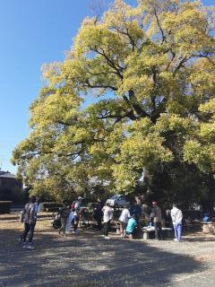 画像(240x320)・拡大画像(480x640)