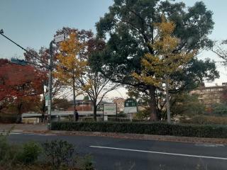 摜(320x240)Eg摜(640x480)