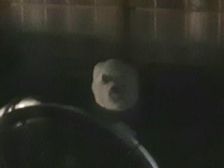 摜(320x240)Eg摜(640x480)