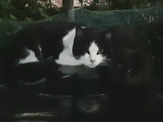 摜(320x240)Eg摜(640x480)