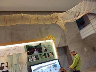 摜(320x241)Eg摜(640x482)