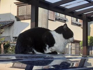 摜(320x240)Eg摜(640x480)