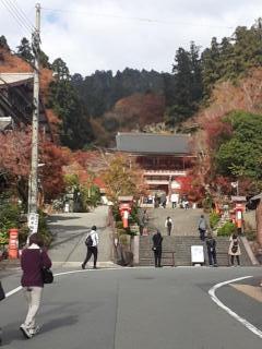 摜(240x320)Eg摜(480x640)