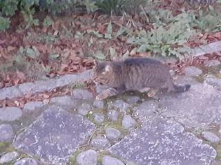 摜(320x240)Eg摜(640x480)