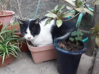 摜(320x240)Eg摜(640x480)