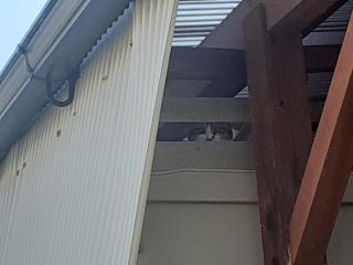 画像(320x240)・拡大画像(640x480)