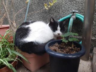 摜(320x240)Eg摜(640x480)