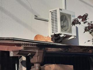 摜(320x240)Eg摜(640x480)