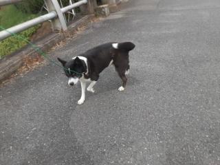 摜(320x240)Eg摜(640x480)