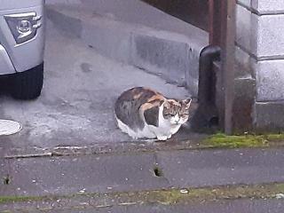 摜(320x240)Eg摜(640x480)